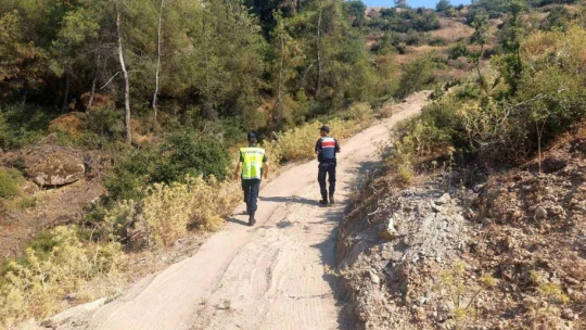 Çine'de jandarmadan sulak ve ormanlık alanlara sıkı denetim