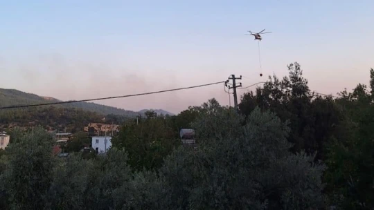 Çine'de orman yangını