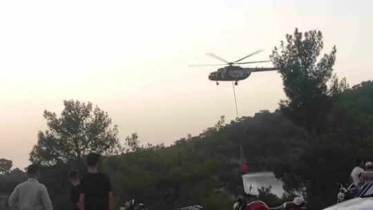Çine'de orman yangını