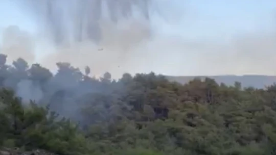 Çine'de orman yangını