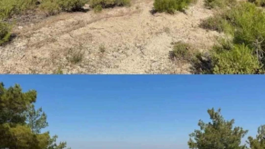 Çine'de orman yangınlarına karşı önleyici temizlik çalışması yapıldı