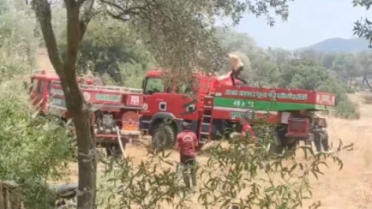 Çine'deki yangın kontrol altına alındı