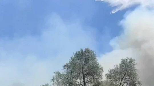 Çine'deki yangın kontrol altına alındı