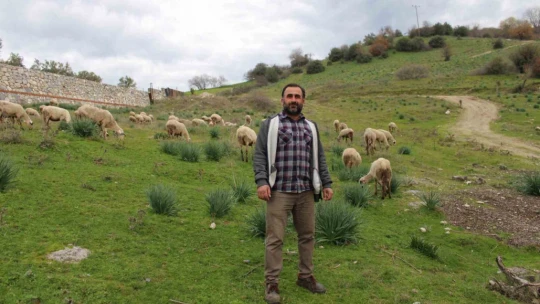 Çok sevdiği koyunlardan 32 yıldır kopamıyor