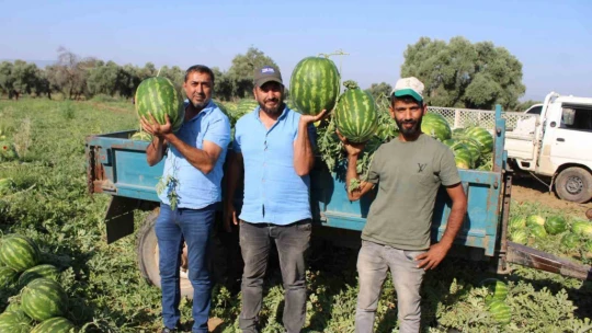 Çukurova'dan sonra Türkiye'nin gözü burada