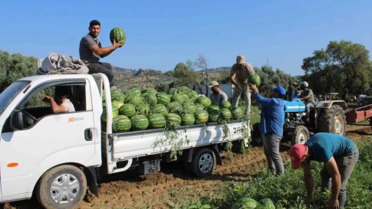 Çukurova'dan sonra Türkiye'nin gözü burada