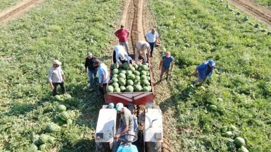 Çukurova'dan sonra Türkiye'nin gözü burada