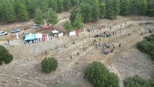 Cumhuriyete Nefes etkinliğinde binlerce fidan toprakla buluştu