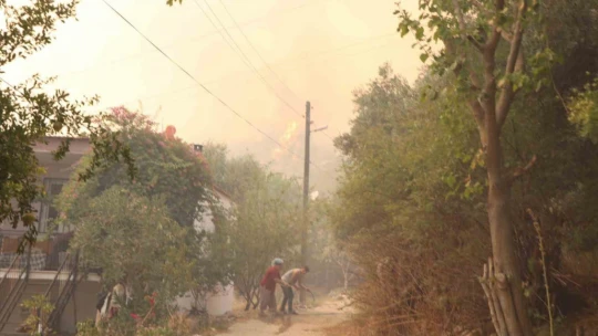 Dağ taş yandı, Türk bayrağı alevlerden korundu