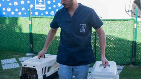 Davutlar Mahallesi'ne kedi kısırlaştırma merkezi açılıyor