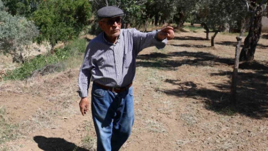 Defineciler, Yaşar Dede'nin uykularını kaçırdı