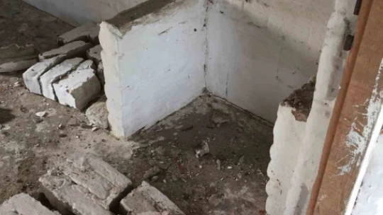 Defineciler, Yaşar Dede'nin uykularını kaçırdı