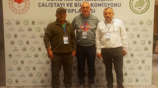 Deniz kaplumbağalarının sorunlarına dikkat çektiler