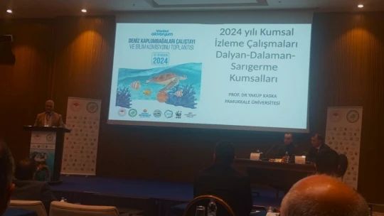 Deniz kaplumbağalarının sorunlarına dikkat çektiler