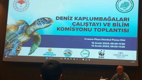 Deniz kaplumbağalarının sorunlarına dikkat çektiler
