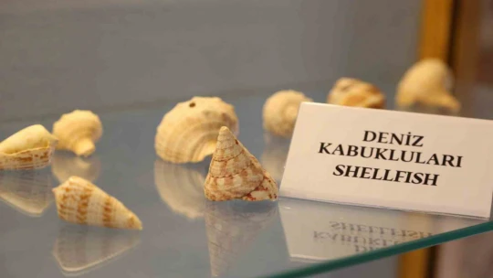 Deniz Ticaret Tarihi Müzesi Kuşadası'nda açıldı