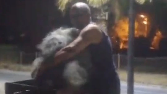 Denize atılan balık ağının kurbanı oluyordu