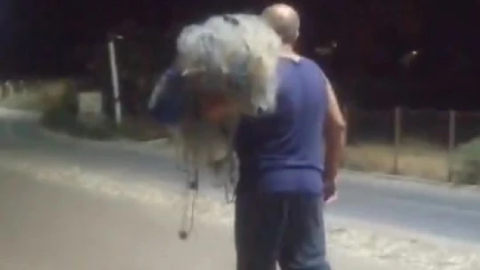 Denize atılan balık ağının kurbanı oluyordu