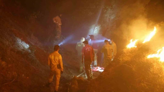 Denizli'den Aydın'a sıçrayan yangında müdahale çalışmaları sürüyor