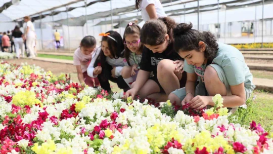Ders zili bu kez Aydın Büyükşehir Belediyesi'nin fidanlığında çaldı