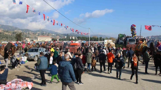Deve güreşlerine katılım yoğun oldu