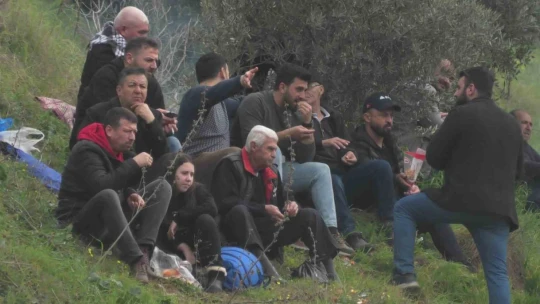 Develer güreşti, izleyenler kavgaya tutuştu