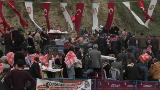 Develer güreşti, izleyenler kavgaya tutuştu