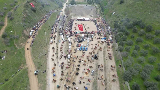 Develer güreşti, izleyenler kavgaya tutuştu