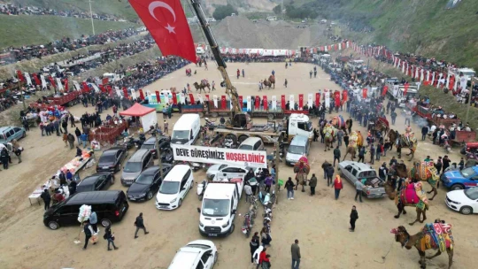 Develer güreşti, izleyenler kavgaya tutuştu