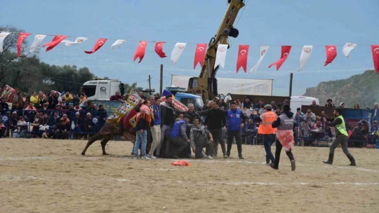 Develer güreşti, izleyenler kavgaya tutuştu