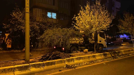 Devrilen ağaç yolu trafiğe kapattı