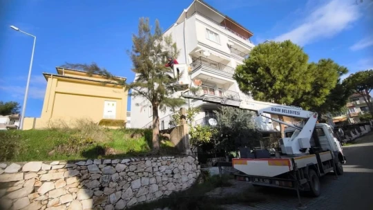 Didim Belediyesi ağaçların kış bakımlarını sürdürüyor