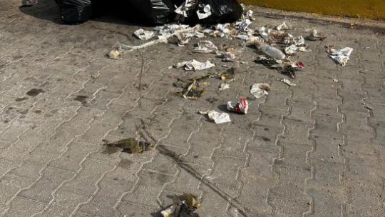 Didim Belediyesi çevereyi kirletenleri affetmedi