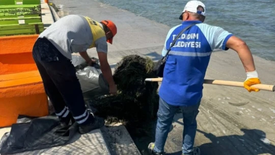 Didim Belediyesi Mavişehir Sahili'ni temizledi