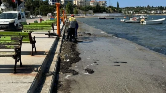 Didim Belediyesi Mavişehir Sahili'ni temizledi