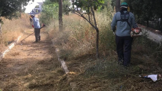 Didim Belediyesi'nden 'kuru ot' seferberliği