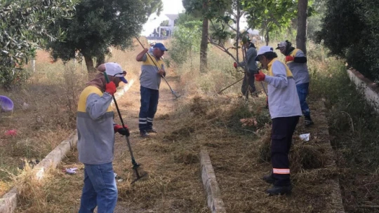 Didim Belediyesi'nden 'kuru ot' seferberliği