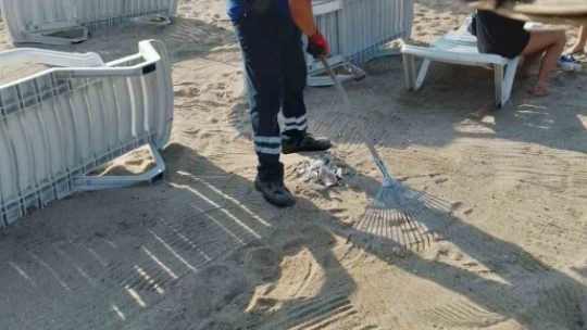Didim Belediyesi sahil temizliğini aralıksız sürdürüyor