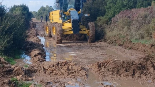Didim Belediyesi, üreticinin yanında olmaya devam ediyor