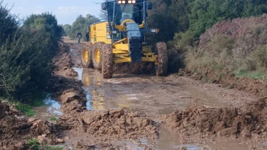Didim Belediyesi, üreticinin yanında olmaya devam ediyor