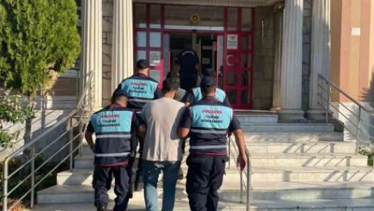 Didim'de 19 düzensiz göçmen, 2 organizatör yakalandı
