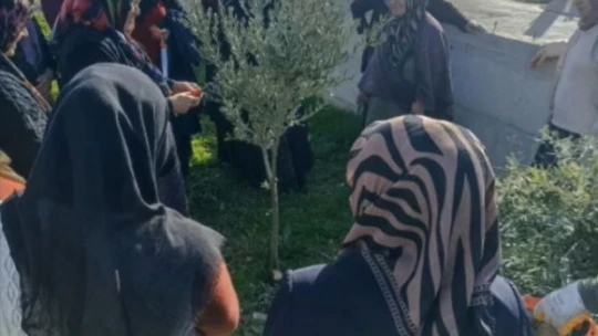 Didim'de 23 çiftçi sertifikasına kavuştu