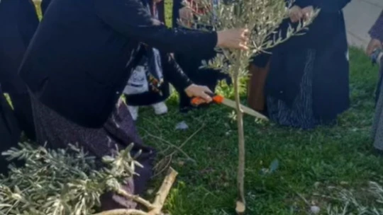 Didim'de 23 çiftçi sertifikasına kavuştu