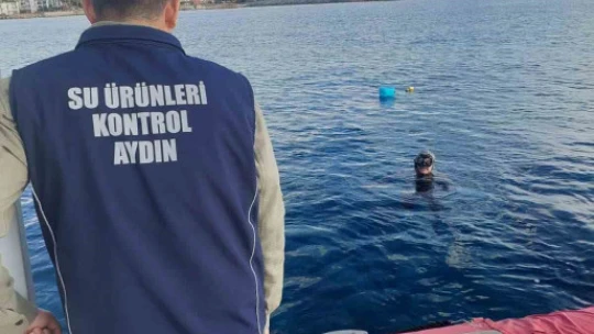 Didim'de balıkçı tekneleri denetlendi