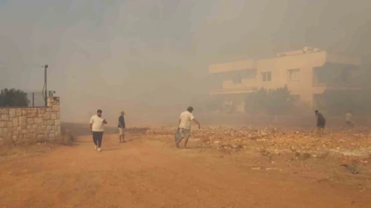 Didim'de bir yangın daha çıktı