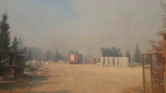 Didim'de bir yangın daha çıktı