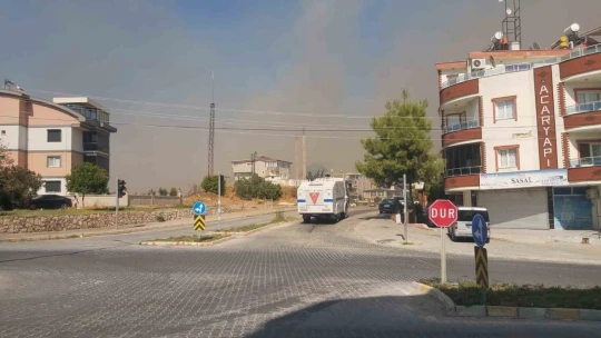 Didim'de bir yangın daha çıktı