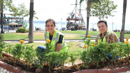 Didim'de çevre ve peyzaj düzenlemesi gerçekleştirildi