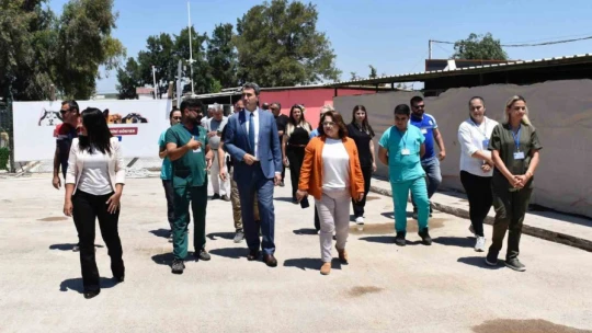 Didim'de hayvan barınağı denetlendi