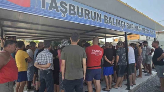 Didim'de ilk balık mezatı gerçekleştirildi